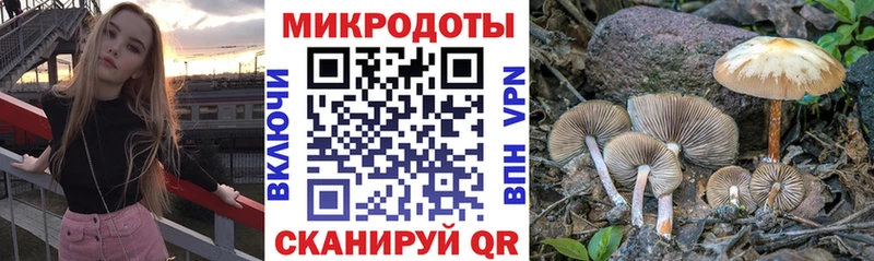 Псилоцибиновые грибы Psilocybe  Пустошка 
