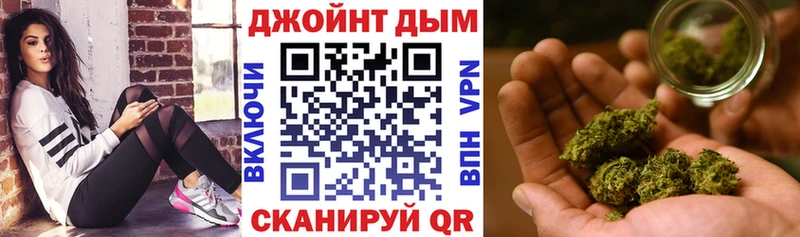omg вход  где найти   Пустошка  Бошки Шишки SATIVA & INDICA 